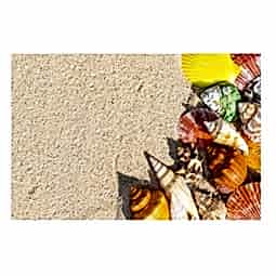 Kategori resimi Deniz Kabuk Kumları 100gr