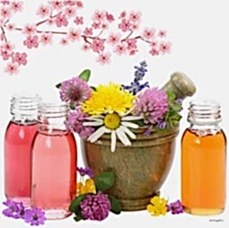 Kategori resimi Soya Mumu Soya Wax Koku Esansları 50 cc