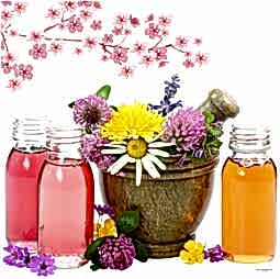 Kategori resimi Jel Mum Koku Esansları 50 cc