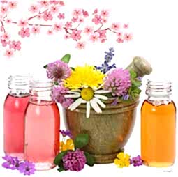 Kategori resimi Parafin Mumu Esansları 50 cc