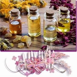 Kategori resimi BalMumu Koku Esansları 50 cc