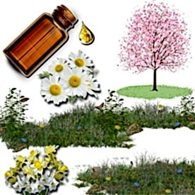 Resim Bahar Esintisi Mum  Koku Esansı 50 cc