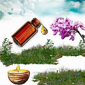 Resim Erguvan  Mum Koku Esansı 50 cc