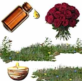 Resim Gül  Mum Koku Esansı 50 cc