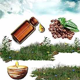 Resim Kahve Mum Koku Esansı 50 cc