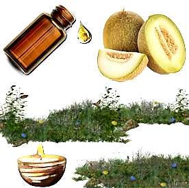 Resim Kavun  Mum Koku Esansı 50 cc