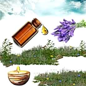 Resim Lavanta Mum Koku Esansı 50 cc