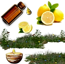 Resim Limon  Mum Koku Esansı 50 cc