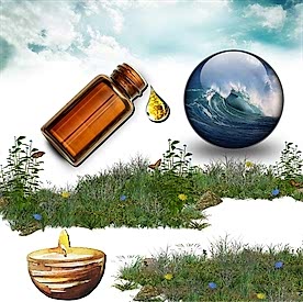 Resim Okyanus Esintisi  Mum Koku Esansı 50 cc