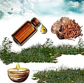 Resim Sandal Ağacı Mum Koku Esansı 50 cc 