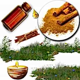 Resim Tarçınlı Vanilya  Mum Koku Esansı 50 cc