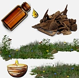 Resim Oud Wood (Ud Ağacı) Mum Koku Esansı 50 cc