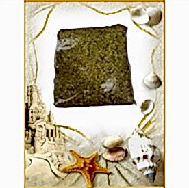 Resim Deniz Kabuk Kumu Sarı “100 gr”