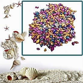 Resim Nassa Karışık Deniz Kabukları “30 gr"