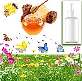 Resim Bal  Sabun Koku Esansı 10 cc