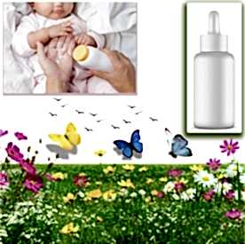 Resim Bebek Pudrası Sabun Koku Esansı 10 cc