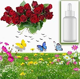 Resim Gül Sabun Koku Esansı 10 cc