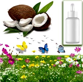 Resim Hindistan Cevizi Sabun Koku Esansı 10 cc