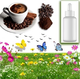 Resim Kahve Sabun Koku Esansı 10 cc