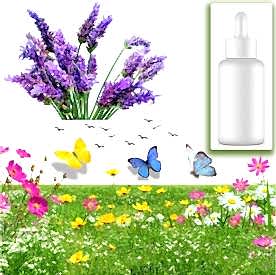 Resim Lavanta  Sabun Koku Esansı 10 cc