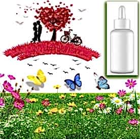 Resim Love Life Sabun Koku Esansı 10 cc