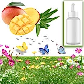 Resim Mango Sabun Koku Esansı 10 cc