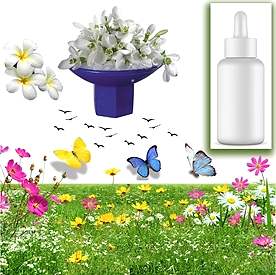 Resim Yasemin Sabun Koku Esansı 10 cc