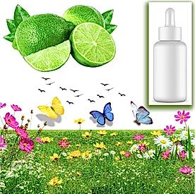 Resim Yeşil Limon Sabun Koku Esansı 10 cc