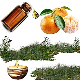 Resim Mandalina Mum Koku Esansı 50 cc