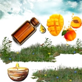 Resim Mango&Şeftali Mum Koku Esansı 50 cc