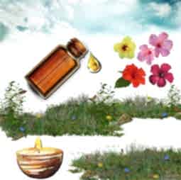 Kategori resimi Soya Mumu Soya Wax Koku Esansları 30 cc