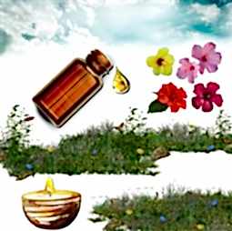 Kategori resimi Coconut Wax Koku Esansları 30 cc