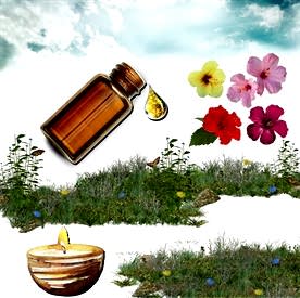 Resim Amber  Mum Koku Esansı 30 cc