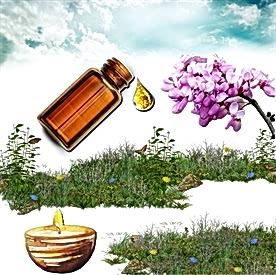 Resim Erguvan Mum  Koku Esansı 30 cc