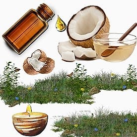 Resim  Hindistan Cevizi  Mum Koku Esansı 30 cc 