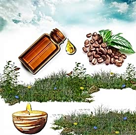 Resim Kahve Mum Koku Esansı 30 cc