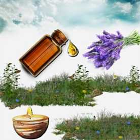 Resim Lavanta Mum Koku Esansı 30 cc