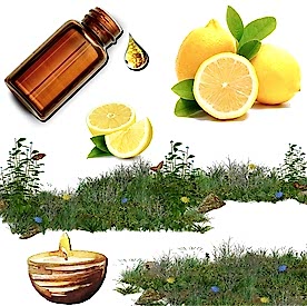 Resim Limon Mum Koku Esansı 30 cc