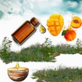 Resim Mango&Şeftali Mum Koku Esansı 30 cc