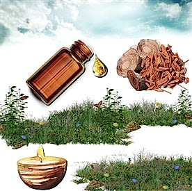 Resim Sandal Ağacı Mum Koku Esansı 30 cc