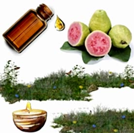 Resim Guayaba Karışık Meyve Mum Koku Esansı 30 cc