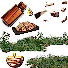 Resim Odunsu  Mum Koku Esansı 50 cc