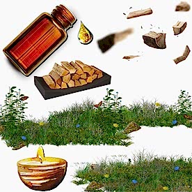 Resim Odunsu Mum Koku Esansı 30 cc