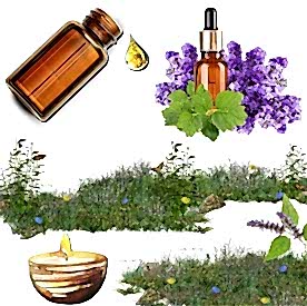 Resim Paçuli Mum Koku Esansı 50 cc