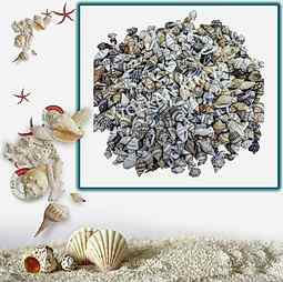 Kategori resimi Deniz Kabukları ''30-50 gr''