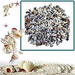 Kategori resimi Deniz Kabukları ''30-50 gr''