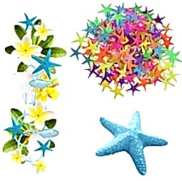 Kategori resimi Deniz Yıldızları