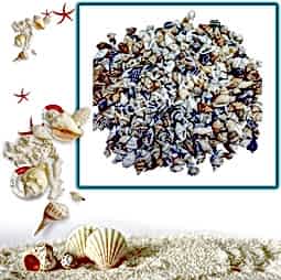 Kategori resimi Deniz Kabukları ''30-50 gr''