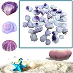 Kategori resimi Mum Süsleme Malzemeleri