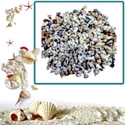 Kategori resimi Deniz Kabukları ''30-50 gr''